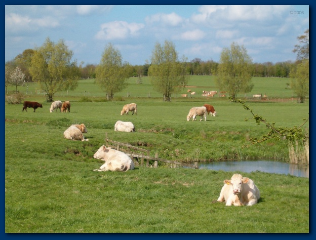 600x449 pixels (126K)